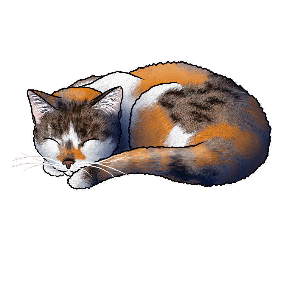 Animation - Pipouille