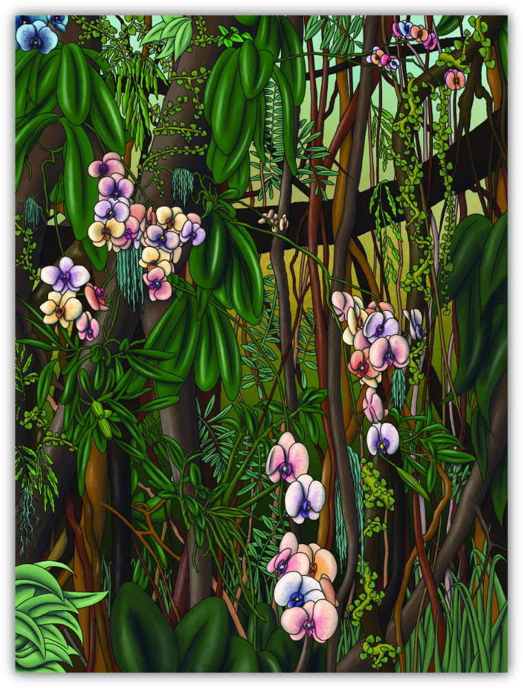 Orchidées sur Toile